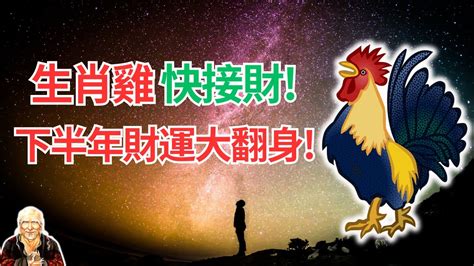 屬雞下半年運勢|2024屬雞幾歲、2024屬雞運勢、屬雞幸運色、財位、禁忌